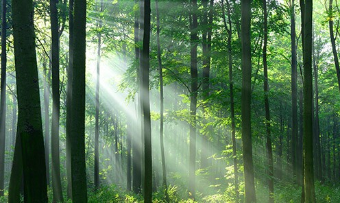 英国365上市公司科技公司深度报告:重启航,走进“低碳”新时代